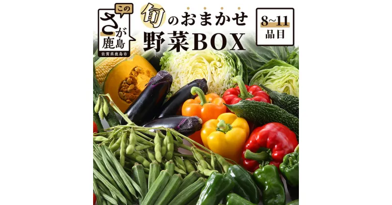 【ふるさと納税】 野菜 定番 旬の おまかせ 野菜 BOX 8~11品目｜ふるさと納税 野菜 セット 詰め合わせ 旬 大容量 佐賀県産 佐賀県 鹿島市 人気 送料無料 AA-4