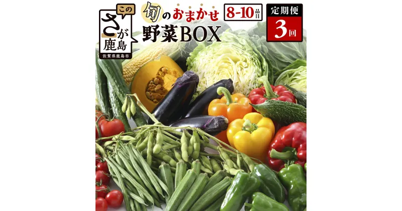 【ふるさと納税】【定期便】 野菜 定期便 旬の おまかせ 野菜 BOX 3回 8~10品目 | ふるさと納税 野菜 定期便 定期 やさい 野菜 セット 詰め合わせ 旬 新鮮 産地直送 大容量 ふるさと 佐賀県 鹿島市 安全安心 リピーター オススメ 大自然 人気 送料無料 C-47