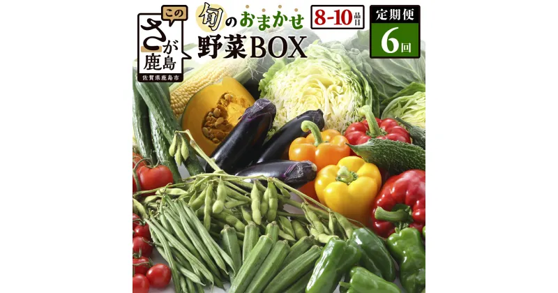 【ふるさと納税】＼レビューキャンペーン／【定期便】【選べる配送サイクル】野菜 定期便 旬の おまかせ 野菜BOX 6回 8~10品目 | ふるさと納税 野菜 定期便 定期 やさい 定番 野菜 セット 詰め合わせ 旬 新鮮 産地直送 大容量 ふるさと 佐賀県 鹿島市 人気 送料無料 E-72