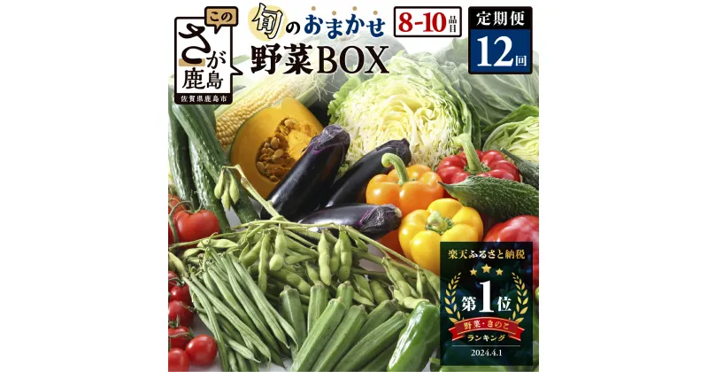 【ふるさと納税】＼レビューキャンペーン／【定期便】【選べる配送サイクル】野菜 定期便 旬の おまかせ 野菜BOX 12回 8~10品目 | ふるさと納税 野菜 定期便 定期 やさい 定番 野菜 セット 詰め合わせ 旬 新鮮 産地直送 大容量 ふるさと 佐賀県 鹿島市 人気 送料無料 H-13