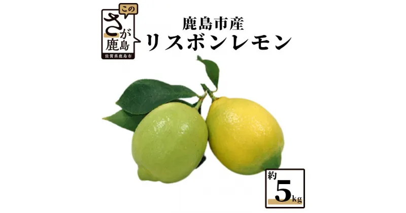 【ふるさと納税】リスボンレモン 約5kg レモン れもん 檸檬 国産 九州産 佐賀県産 鹿島市産 送料無料 B-367