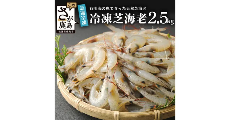 【ふるさと納税】【緊急支援品】有明海産 芝エビ 真エビ 2.5kg (500g×5パック) | ふるさと納税 えび 海老 芝海老 冷凍えび 国産 佐賀県 鹿島市 ふるさと 人気 送料無料 B-357