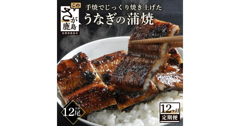 【ふるさと納税】うなぎの蒲焼 1尾 180〜200g 大型サイズ 12か月 定期便 12回 毎月 うなぎ 鰻 ウナギ 蒲焼き タレ付き 密封パック入り 佐賀県 鹿島市 佐賀 グルメ 冷蔵 送料無料 P-5