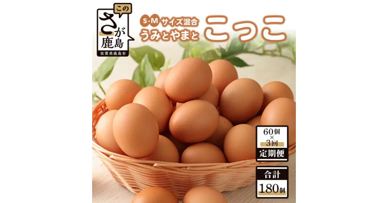 【ふるさと納税】【定期便3回】うみとやまとこっこ 卵 初卵 合計180個(60個×3回) たまご 1箱 新鮮 鶏卵 鶏 S・Mサイズ混合 玉子 生卵 定期便 国産 九州産 佐賀県 鹿島市 送料無料 D-117