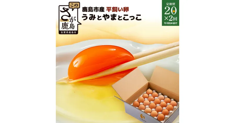 【ふるさと納税】【定期便】うみとやまとこっこ 卵 サイズ混合 20個 × 2回 合計40個 | ふるさと納税 卵 定期 たまご 鶏卵 鶏 玉子 生卵 新鮮 佐賀県 鹿島市 ふるさと 人気 送料無料 B-396