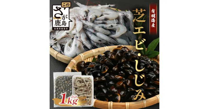 【ふるさと納税】【緊急支援品】《出荷最盛期》冷凍 芝エビ (500g) シジミ (500g) セット 合計1kg 真エビ 急速冷凍 活き締め 芝海老 えび 海老 しじみ 砂抜き済 魚貝類 海鮮 貝 佐賀県 鹿島市 国産 詰め合わせ 送料無料 【2024年11月末頃から順次発送中】 AA-19