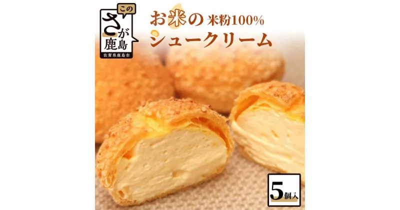 【ふるさと納税】お米のシュークリーム プレーン 5個 米粉使用 小麦粉不使用 お菓子 スイーツ 洋菓子 冷凍 ひのでや グルテンフリー AA-25