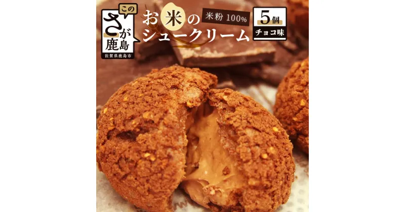 【ふるさと納税】お米のシュークリーム チョコ 5個 米粉使用 小麦粉不使用 お菓子 スイーツ 洋菓子 冷凍 ひのでや グルテンフリー AA-26