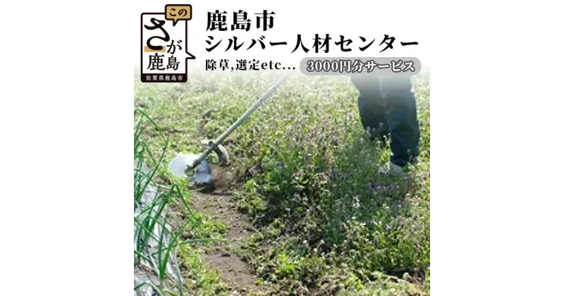 【ふるさと納税】鹿島市シルバー人材センター3,000円分サービス 佐賀県 鹿島市 草刈り 草取り 剪定 清掃 墓掃除 墓 家屋修繕 修繕 ゴミ出し ふすま張替え 障子張替え B-510