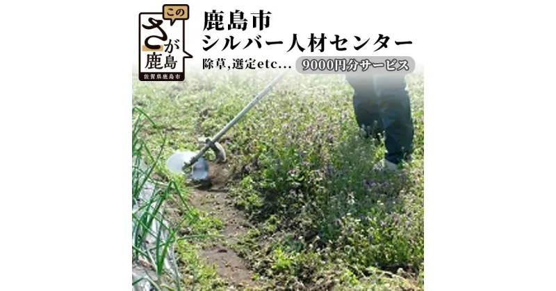 【ふるさと納税】鹿島市シルバー人材センター9,000円分サービス 佐賀県 鹿島市 草刈り 草取り 剪定 清掃 墓掃除 墓 家屋修繕 修繕 ゴミ出し ふすま張替え 障子張替え E-109