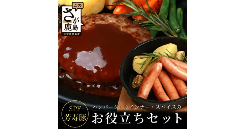 【ふるさと納税】【発送時期が選べる】ハンバーグ ウインナー スパイス のお役立ち セット 芳寿豚 SPF豚 国産 佐賀県 鹿島市 グルメ 送料無料 B-401