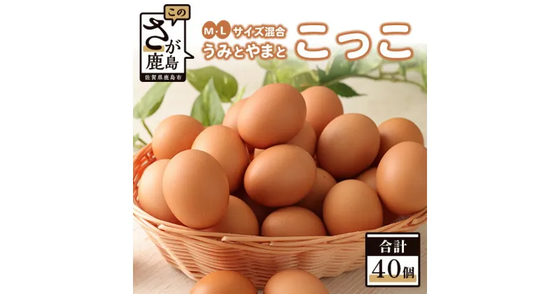 【ふるさと納税】うみとやまとこっこ 卵 40個 たまご 1箱 新鮮 鶏卵 鶏 M・Lサイズ混合 玉子 生卵 国産 九州産 佐賀県 鹿島市 送料無料 B-390