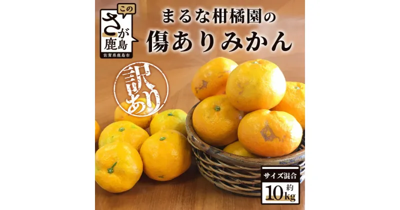 【ふるさと納税】【期間限定】＜訳アリ＞ まるな柑橘園の 傷アリ みかん 約10kg サイズ混合 訳あり ミカン 蜜柑 国内産 九州産 佐賀県 鹿島市産 果物 フルーツ オレンジ 大量 大小混合 家庭用 自宅用 有明海 送料無料 【2024年9月下旬から2025年2月頃まで配送】 B-455