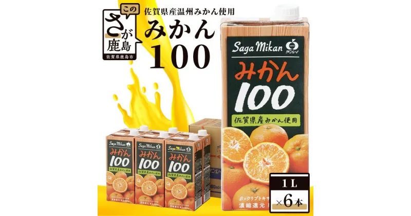 【ふるさと納税】みかん100 1L×6本 サンレイ 果汁100％ オレンジジュース みかんジュース みかん 温州みかん 蜜柑 オレンジ 果物 フルーツ 果汁 飲み物 飲料 ジュース 大容量 国産 九州産 佐賀県産 たっぷり 送料無料 B-459