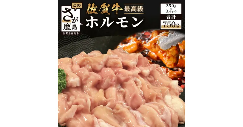 【ふるさと納税】佐賀牛 ホルモン 合計750g 250g×3パック 佐賀和牛 肉 牛肉 和牛 佐賀 牛肉 お取り寄せ 佐賀県 鹿島市 冷凍 送料無料 B-557