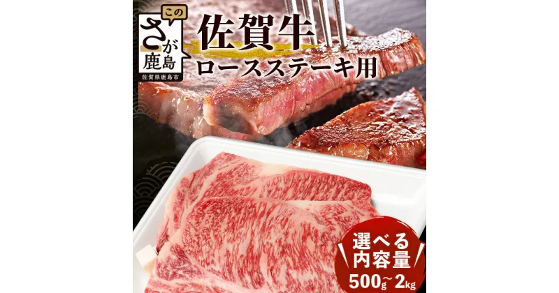 【ふるさと納税】最高級 佐賀牛 ロース ステーキ用 計500g (2枚入)～2,000g (8枚入) 最短2週間以内に発送 | ふるさと納税 肉 牛肉 ステーキ ステーキ肉 黒毛和牛 和牛 ブランド牛 国産 冷凍 最優秀受賞 人気 お中元 お歳暮 贈答品 プレゼント 父の日 母の日 送料無料 D-173