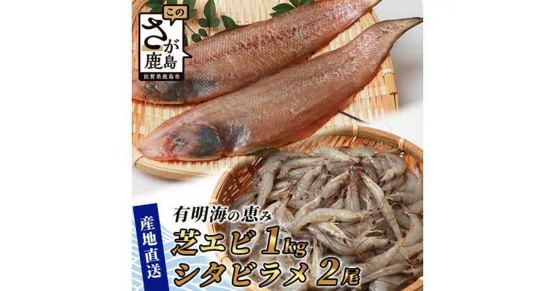 【ふるさと納税】【緊急支援品】冷凍芝エビ（真エビ）1kg（500g×2パック）＆有明海産 シタビラメ約150g×2尾【有明海の恵】簡単調理 セット B-569