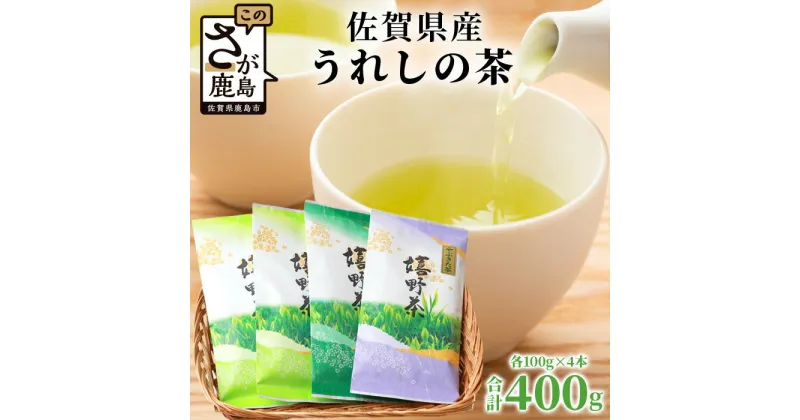 【ふるさと納税】【ギフトにおすすめ】 佐賀県産 うれしの茶 (やぶきた茶) 100g×4本【合計400g】美味しいお茶を贈り物に B-570