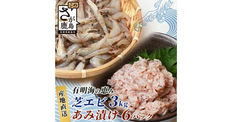 【ふるさと納税】【緊急支援品】【有明海産 アミエビ使用】あみ漬け 6パック ＆ 冷凍芝エビ（真エビ）3kg【鮮度抜群】お茶漬けやお酒のお供におススメ 海鮮 海老 エビ 酒の肴 おつまみ 産地直送 芝海老 真海老 素揚げ 簡単 美味しい C-98