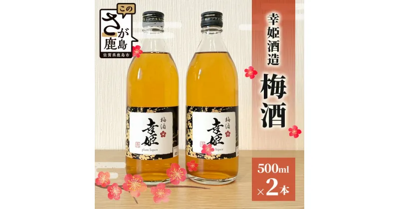 【ふるさと納税】幸姫酒造 梅酒 500ml 2本 お酒 梅酒 リキュール ロック ソーダ割り 炭酸割り カクテル ストレート 贈り物 贈答 プレゼント ギフト セット うめ酒 幸姫 母の日 父の日 御中元 お歳暮 お中元 御歳暮 ギフト お祝い B-578