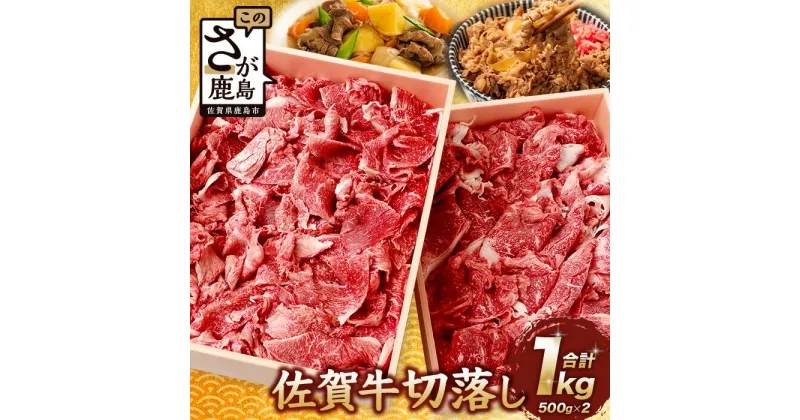 【ふるさと納税】【発送時期が選べる】佐賀牛 切り落とし 500g×2【合計1kg】D-186 お祝い 贈り物 贈物 御中元 御歳暮