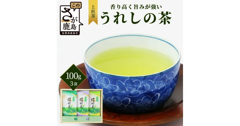 【ふるさと納税】【ギフトにおすすめ】 佐賀県産 上煎茶 うれしの茶 100g×3本【合計300g】美味しいお茶を贈り物に B-666