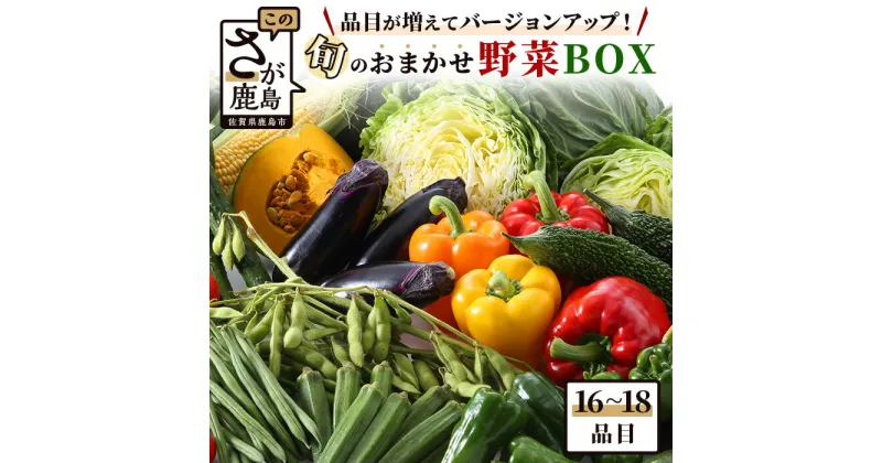 【ふるさと納税】【バージョンアップ】旬のおまかせ野菜BOXセット 16～18品目お届け 冷蔵配送【 野菜 果物 旬 セット 詰め合わせ 】B-690