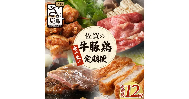 【ふるさと納税】【定期便12回】佐賀の「牛・豚・鶏」食べ比べ 定期便 12ヶ月 12ヵ月 佐賀牛 ありた鶏 佐賀県産豚肉 焼き肉 焼肉 しゃぶしゃぶ ステーキ バラエティ P-9 野菜炒め BBQ キャンプ 豚丼 鶏肉 とりにく 鳥肉 もも むね ささみ モモ ムネ ササミ ありた鶏