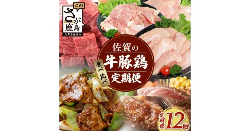 【ふるさと納税】【定期便12回】佐賀の「牛・豚・鶏」食べ比べ 定期便 12ヶ月 12ヵ月 佐賀牛 ありた鶏 佐賀県産豚肉 焼き肉 焼肉 しゃぶしゃぶ ステーキ バラエティ V-44 野菜炒め BBQ キャンプ 豚丼 鶏肉 とりにく 鳥肉 もも むね ささみ モモ ムネ ササミ ありた鶏