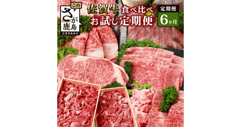 【ふるさと納税】【定期便6回】佐賀牛 食べ比べ 定期便 モモスライス 肩ロース サーロインステーキ 切り落し ローストビーフ 焼肉 R-9 すきやき すき焼き モモ もも 肩ロース やきにく 焼き肉 焼肉 ヤキニク