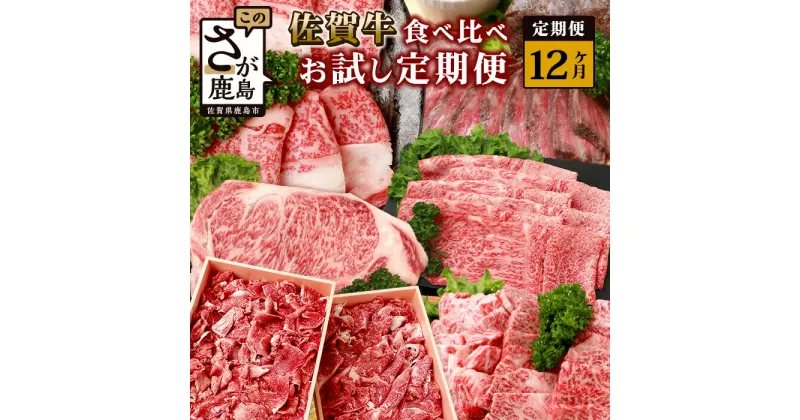 【ふるさと納税】【定期便12回】佐賀牛 食べ比べ 定期便 モモスライス 肩ロース サーロインステーキ 切り落し ローストビーフ 焼肉 サイコロステーキ モモブロック V-45