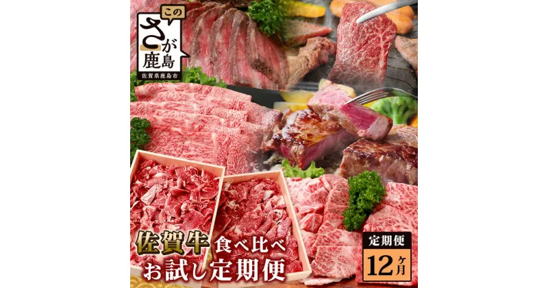 【ふるさと納税】【ふるさと納税】【定期便 12回】佐賀牛 牛肉 食べ比べ 12ヶ月 定期 総量10.1kg ｜ふるさと納税 和牛 黒毛和牛 スライス 肩ロース サーロインステーキ 切り落し ローストビーフ 焼肉 サイコロステーキ 冷凍 佐賀県 鹿島市 人気 送料無料 V-46