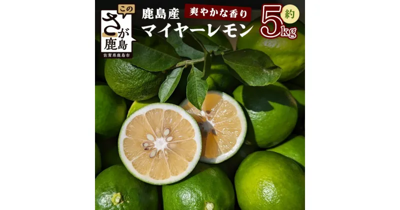 【ふるさと納税】【産地直送】【農家直送】【予約受付】佐賀県鹿島市産　マイヤーレモン　5kg サイズ混合　B-726