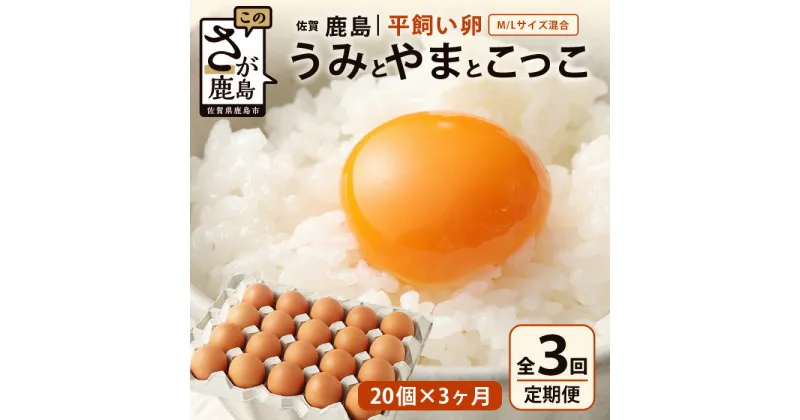 【ふるさと納税】【定期便 3回】平飼い卵「うみとやまとこっこ」上田養鶏場 たまご20個 × 3ヶ月【合計60個】佐賀県鹿島産 卵 タマゴ C-112 3ヵ月