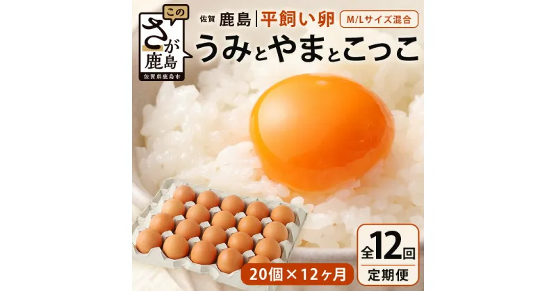 【ふるさと納税】【定期便 12回】平飼い卵「うみとやまとこっこ」上田養鶏場 たまご20個 × 12ヶ月【合計240個】佐賀県鹿島産 卵 タマゴ I-32 12ヵ月