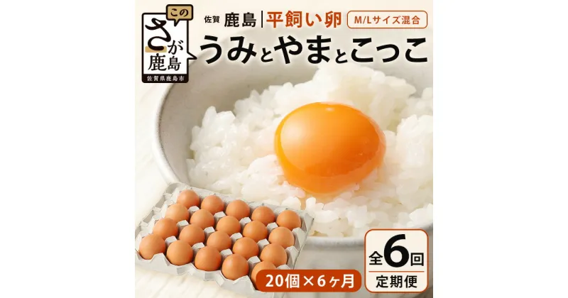 【ふるさと納税】【定期便 6回】平飼い卵「うみとやまとこっこ」上田養鶏場 たまご20個 × 6ヶ月【合計120個】佐賀県鹿島産 卵 タマゴ E-129 6ヵ月