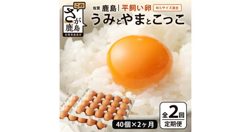 【ふるさと納税】【定期便 2回】平飼い卵「うみとやまとこっこ」上田養鶏場 たまご40個 × 2ヶ月【合計80個】佐賀県鹿島産 卵 タマゴ D-200 2ヵ月