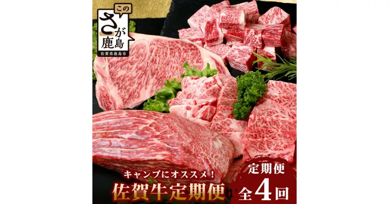 【ふるさと納税】高級肉【定期便4回】 キャンプにおススメ 佐賀牛 食べ比べ 定期便 アウトドア サーロインステーキ 焼肉 サイコロステーキ 赤身ブロック 焼肉 ステーキ 満足 ご褒美 オススメ イチオシ 人気 美味しい 送料無料 I-31