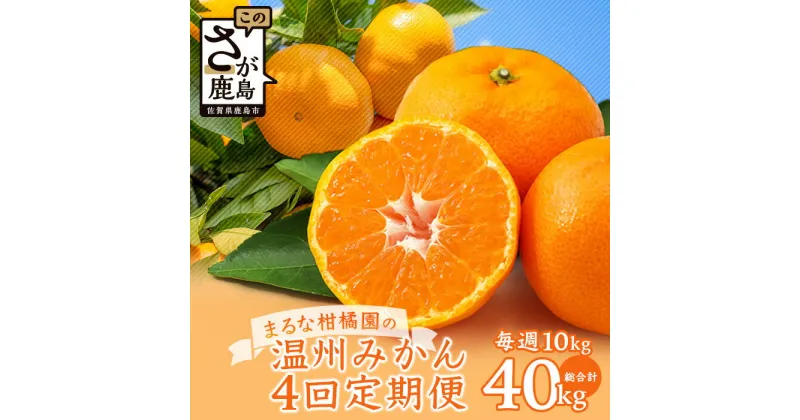 【ふるさと納税】鹿島市産　まるな柑橘園の温州みかん　毎週1回　月4回定期便　 期間限定 果物 フルーツ 佐賀県 鹿島市 国産 送料無料 F-62