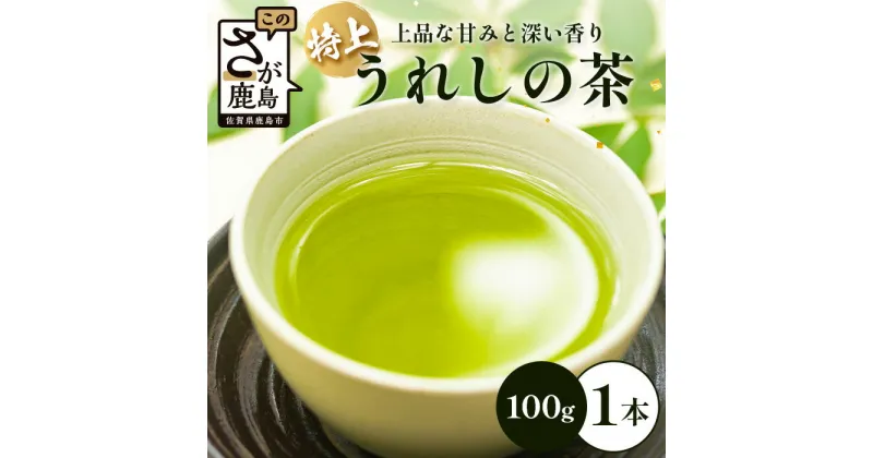 【ふるさと納税】【ギフトにおすすめ】 佐賀県産 特上うれしの茶 100g×1本 レターパック配送 美味しいお茶を贈り物に ご自宅用にもおススメ A-182 嬉野茶 緑茶 日本茶 リーフ 茶葉