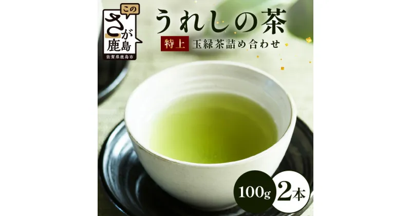 【ふるさと納税】【ギフトにおすすめ】 佐賀県産 特上うれしの茶 100g×2本 美味しいお茶を贈り物に ご自宅用にもおススメ B-751 嬉野茶 緑茶 日本茶 リーフ 茶葉