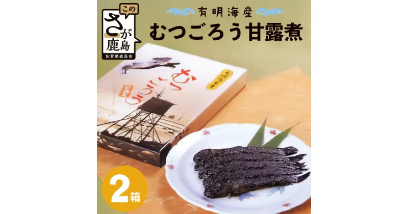 【ふるさと納税】鹿島市産　むつごろう甘露煮　2箱入り　 川田食品　珍味 佐賀県 鹿島市 送料無料 B-761