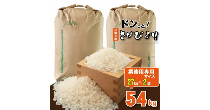 【ふるさと納税】 佐賀ブランド 米「さがびより」54kg（27kg×2）（白米）大坪精米所 送料無料 佐賀の米 大家族 大量 一等米 精米 白米 ブランド米 お米 白飯 人気 ランキング 高評価 【F100-007】