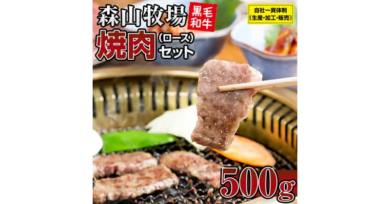 【ふるさと納税】 豪快精肉店！森山牧場 焼肉セット（500g） 佐賀和牛 牛肉 黒毛和牛 お肉 ジューシー 国産 霜降り 九州産 送料無料 ブランド牛 焼肉 人気 ランキング 高評価 牛肉 【B135-004】