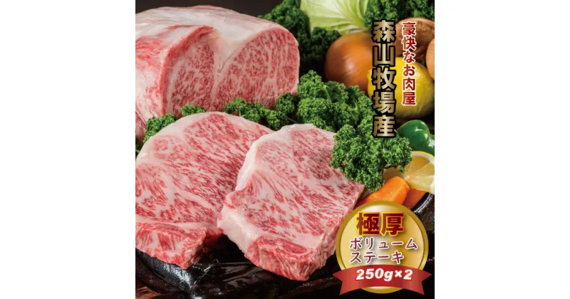 【ふるさと納税】 森山牧場産 黒毛和牛 ステーキ （250g×2） 佐賀和牛 ステーキ 牛肉 合計500g 黒毛和牛 お肉 厚切り 国産 森山牧場 九州産 送料無料 ブランド牛 ステーキ 焼肉 ブロック セット 人気 ランキング 高評価 牛肉 【D300-003】