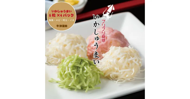 【ふるさと納税】 いかしゅうまい （4パック×6個入り） 佐賀名物イカ 焼売 送料無料 佐賀 イカ 簡単料理 おかず 【A080-001】