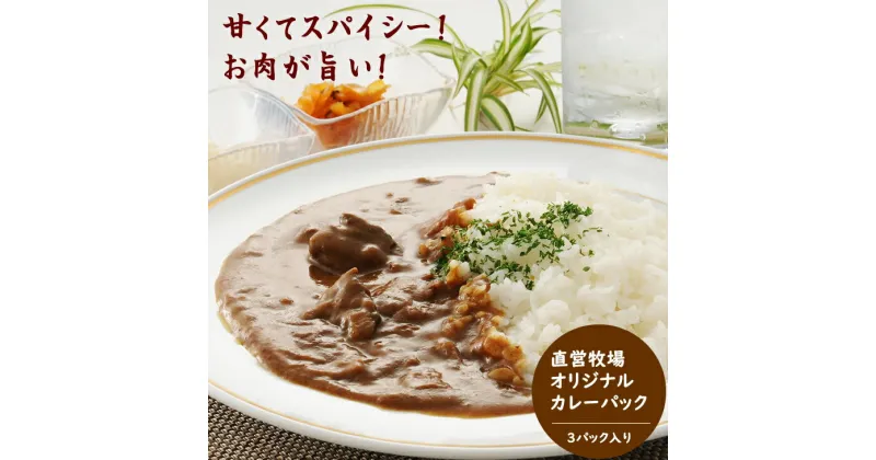 【ふるさと納税】 佐賀和牛カレー 3パックセット 送料無料 焼き肉屋が作る カレー ブランド牛 人気 ランキング 高評価 牛肉 佐賀県 小城市 【A060-001】