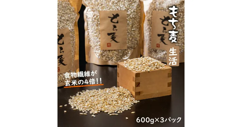 【ふるさと納税】 もち麦 （600g×3パック）生産農家直送便 送料無料 くすもち二条 健康 米 【B120-024】