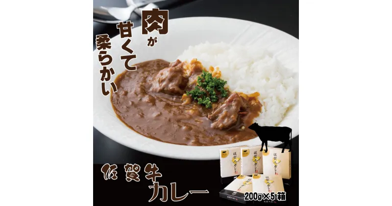 【ふるさと納税】 佐賀牛カレー （5箱セット）煮込み牛肉 佐賀県産 食材にこだわった A5～A4 ブランド牛 ブロック人気 ランキング 高評価 牛肉 佐賀 送料無料 【A090-011】