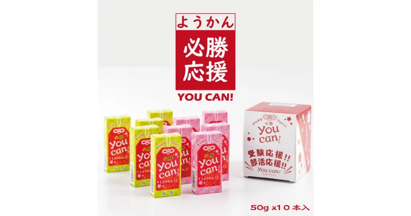 【ふるさと納税】 you can! ようかん 10本入 和菓子 伝統 小城羊羹 送料無料 【A065-005】